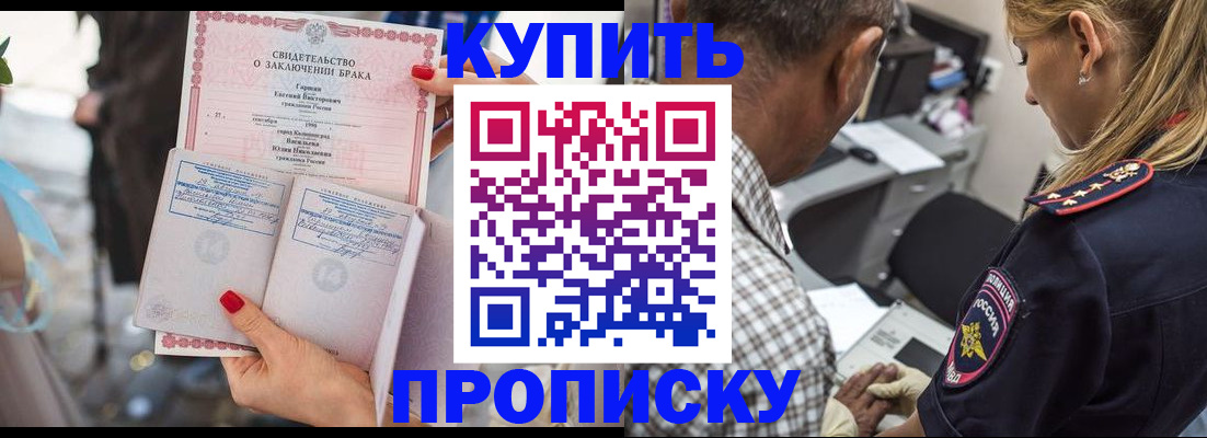 прописка законно в Новороссийске